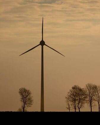 Windkraftanlagen können in Mannheim weniger zur Energiewende beitragen.