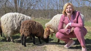 Landwirtschaftsministerin Julia Klöckner lacht während der Auftaktveranstaltung zum Start des Bundeszentrums Weidetiere und Wolf neben Fuchsschafen.