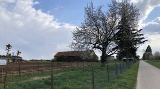 Auf diesem Grundstück unweit des Edinger Bauhofs soll die Wiesengruppe des Naturkindergartens heimisch werden, den der Verein „urwüchsig“ plant.