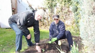 Fritz Gaa (l). und Kurt Nickl (r.) haben die Setzlinge für den Gartenwettbewerb eingepflanzt. Diesmal geht es um den schwersten Blumenkohl.