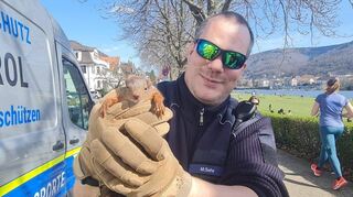 „Retten, bergen, vorbeugen, schützen“ – so lautet das Motto von „Animal Control“. Chef Michael Sehr mit einem geretteten Schützling.