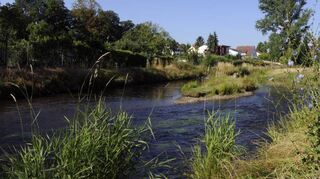 Umgestaltet und renaturiert bieten Woogbach und das Woogbachtal seit 2014 eine neue Aufenthaltsqualität für Spaziergänger und Freizeitsportler.