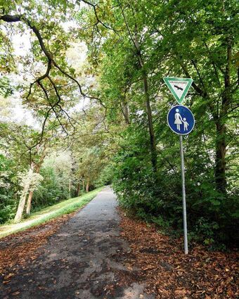 Waldparks und Teile des Rheindamms stehen unter Schutz.