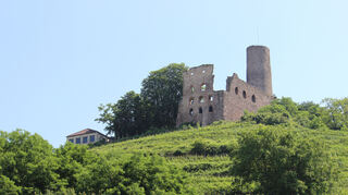 Die Strahlenburg in Schriesheim.