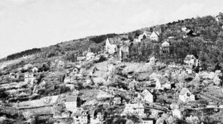Der Branich oberhalb von Schriesheim Mitte der 1950er Jahre. Die Entwicklung der einstigen Wochenendsiedlung zu einem Wohngebiet deutet sich erst allmählich an.