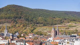 Neustadt/Weinstraße