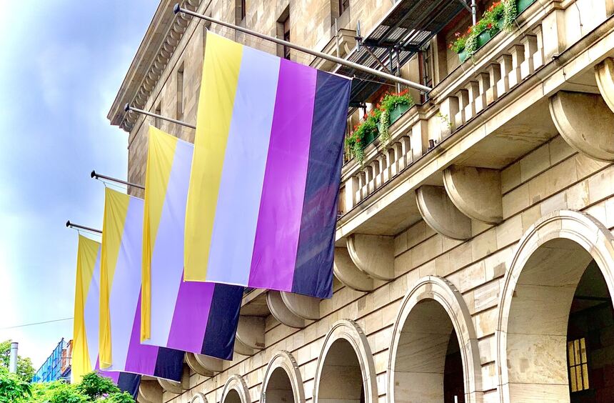 Nicht-binäre Flagge 91 X 152 Cm – UV-beständig, Aus Polyester, Mit 2 Messingösen, Set Mit 2 Flaggen