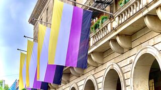 Die vier Nonbinary-Pride-Flaggen am Mannheimer Rathaus.