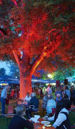 Im schmucken Stadtpark feiert die Sommerbühne im August ihre Premiere. Unser Ar-chivbild zeigt das Lichterfest an gleicher Stelle vor zwei Jahren.
