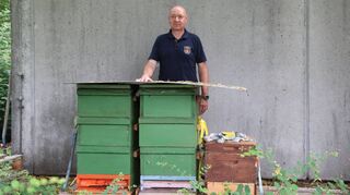 An der Feuerwache 2 hat Achim Bachmann zwei Bienenstöcke stationiert – und er hofft auf Volk Nummer drei im kleineren braunen Stock daneben.