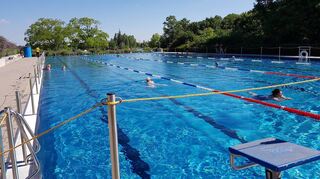 Das 50 Meter lange Schwimmerbecken im Freibad am Willersinnweiher.