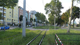 Blick in die Steubenstraße. Bild: Thorsten Langscheid