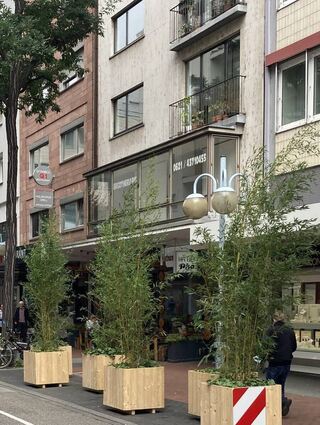 Neues Konzept in der Mannheimer Fressgasse: Blumenkübel stehen nun dort, wo vorher Autos geparkt wurden.