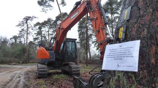 Fäll- und Pflanzaktionen im Rheinauer Wald. Das Bild entstand im Februar.