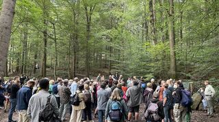 Engagierte Diskussion im Wald: Die Mitarbeiter des Forstamtes stellten Vertretern von Umweltverbänden und Bürgern ihr Konzept vor.