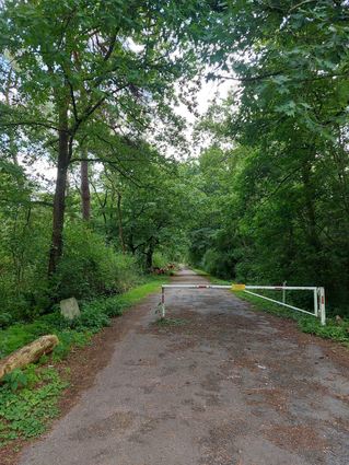 Waldparkplätze sind ein beliebtes Ausflugsziel - umgesehen im Mannheimer Dosenwald. Hier: Der Zugang zum Dossenwald.