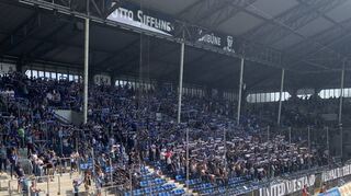 Waldhof-Fankurve im Carl-Benz-Stadion beim Spiel gegen Halle.