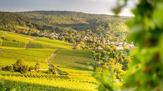 Ein Ausblick, wie ihn einst Goethe hatte, als er in Heilbronn seinen 48. Geburtstag verbrachte.