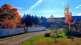 Aus dem Ried nach Norwegen: Nicht weit von Lillehammer hat die Bobstädterin Corina Merkel ein neues Zuhause gefunden. Dort lebt sie mit ihrem Sohn Luca, einem Hund, Pferden und Katzen.