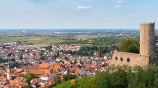 Wer regiert die Stadt Schriesheim in den nächsten acht Jahren? Der Frage widmet sich das Online-Wahlforum des „MM“ am 22. Oktober.