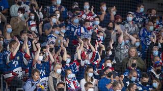 Die Fans der Adler beim Spiel gegen die Steelers.