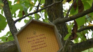 Honig- und Wildbienen sind essenziell für die Bestäubung von Nutzpflanzen – und damit auch für die spätere Ernte von Obst und Gemüse. Dieses Schild im Mannheimer Lehrgarten verdeutlicht die Leistung der Tiere.