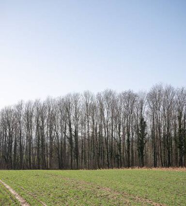 Der Tatort am Ortsrand von Sinsheim-Eschelbach.