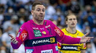 Der Einsatz von Torwart Andreas Palicka ist einmal mehr fraglich.