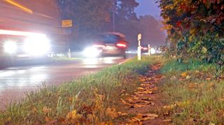 Der schmale Trampelpfad liegt direkt an der Kreisstraße und ist für Fußgänger die einzige direkte Verbindung von der Blumenau zur Eugen-Neter-Schule.