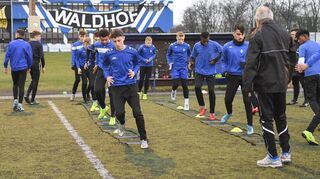 Die Talente des SV Waldhof sollen künftig in einem vom DFB anerkannten Nachwuchsleistungszentrum (NLZ) trainieren.