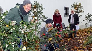 Schöne Kamelienblüte am Teehaus im Luisenpark mit v. l. Ellen Oswald, Anke Koschitz, dahinter Heidrun Kämper und Joachim Költzsch.