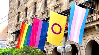 Beflaggung am Mannheimer Rathaus zum Internationalen Tag gegen Homo-, Bi-, Inter- und Transphobie (IDAHOBIT) im vergangenen Jahr.