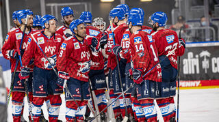 Adler Mannheim im Spiel gegen die Nürnberg Ice Tigers.
