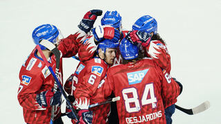 Adler Mannheim im Spiel gegen die Nürnberg Ice Tigers.