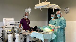 Im OP in Frankenthal: Tierärztin Tina Vockerodt (v.l.), Azubi Anna-Lena Bär und Klinikchef Christian David.
