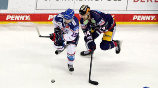 Zweikampf beim Spiel Eisbären Berlin (dunkel) gegen die Adler Mannheim (hell).