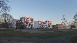 Abendstimmung auf der großen Freifläche.