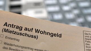 Anträge auf Wohngeld werden ab April nicht mehr im Rathaus bearbeitet, sondern im Landratsamt des Rhein-Neckar-Kreises. Dadurch erhofft sich der Rat eine zügigere Bearbeitung, da im Landratsamt mehr Fachpersonal vorhanden ist.