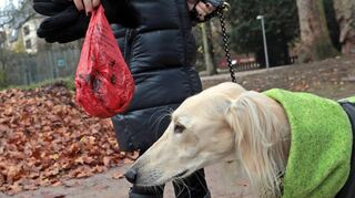 Eine vorbildliche Hundehalterin mit Tier und Beutel im Unteren Luisenpark in Mannheim (fotografiert Anfang Dezember 2018).
