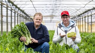 Gemüse-Spezialitäten sind genau das Ding der beiden Pfalzmarkt-Erzeuger Ralf Weber (l.) aus Schifferstadt und Thomas Reeb aus Dudenhofen.
