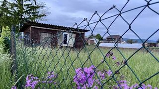 Auf dieser Wiese im Junkersgewann in Edingen soll der neue Wiesenkindergarten des Vereins Urwüchsig entstehen, die Inbetriebnahme ist für April 2022 geplant.