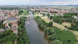 So sieht der Alt-Neckar zwischen Ilvesheim und Seckenheim derzeit noch aus.