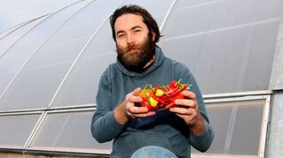 Helfen bei Schnupfen und verstärken das Aroma der Gerichte: Die scharfen Chilis von Alexander Hicks wachsen seit Sommer in Bürstadts Gärtnersiedlung.