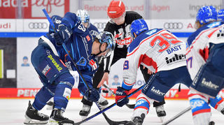 Adler Mannheim bei einer Partie gegen den ERC Ingolstadt im Dezember 2021.