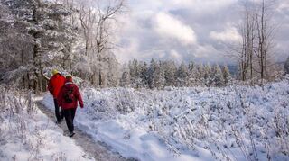 In der Pfalz gibt es nun einige neu zertifizierte Wanderwege.