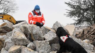 Cooper hat Mark Paluch gefunden bei der Übung der Rettungshundestaffel des Roten Kreuzes auf dem Spinelligelände.