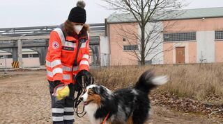 Bettina Müller hält Jack (6 Jahre) einen Handschuh vor die Nase – als Geruchsprobe, dann sucht er sofort. Im Hintergrund die U-Halle auf dem Bundesgartenschauareal.