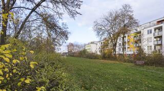 Am Kranichweg im Heidelberger Pfaffengrund soll das erste „Klimawäldchen“ der Stadt entstehen.