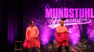 Am Freitagabend traten Mundstuhl mit ihrem Programm "Flamongos" im Capitol auf.