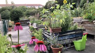 Gemeinschaftsgarten auf dem Pfalzplatz. Ein Teil der zentralen Grün- und Freifläche auf dem Lindenhof soll bebaut werden.